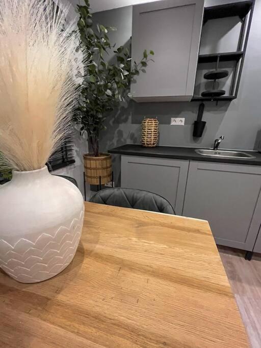 Gezellig Appartement, Gerenoveerd Eind 2022 Tilbourg Extérieur photo